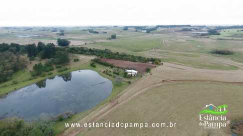 DA VARZEA ATE O GADO NA COXILHA.00_02_54_19.Quadro032_ee56ec37b290ee58e18c444e06b3fc1d1435b8c8.jpg